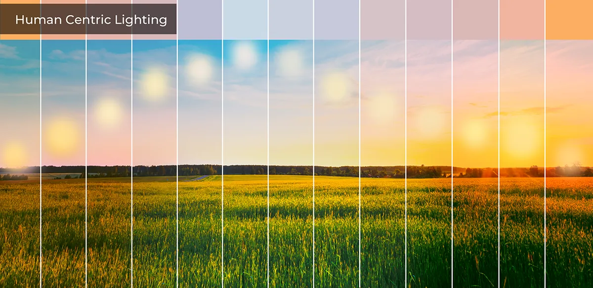 Human centric lighting chart showing colour temperature changing through the day